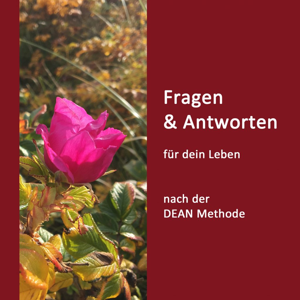 4. Cover Fragen & Antworten für dein Leben - NEU