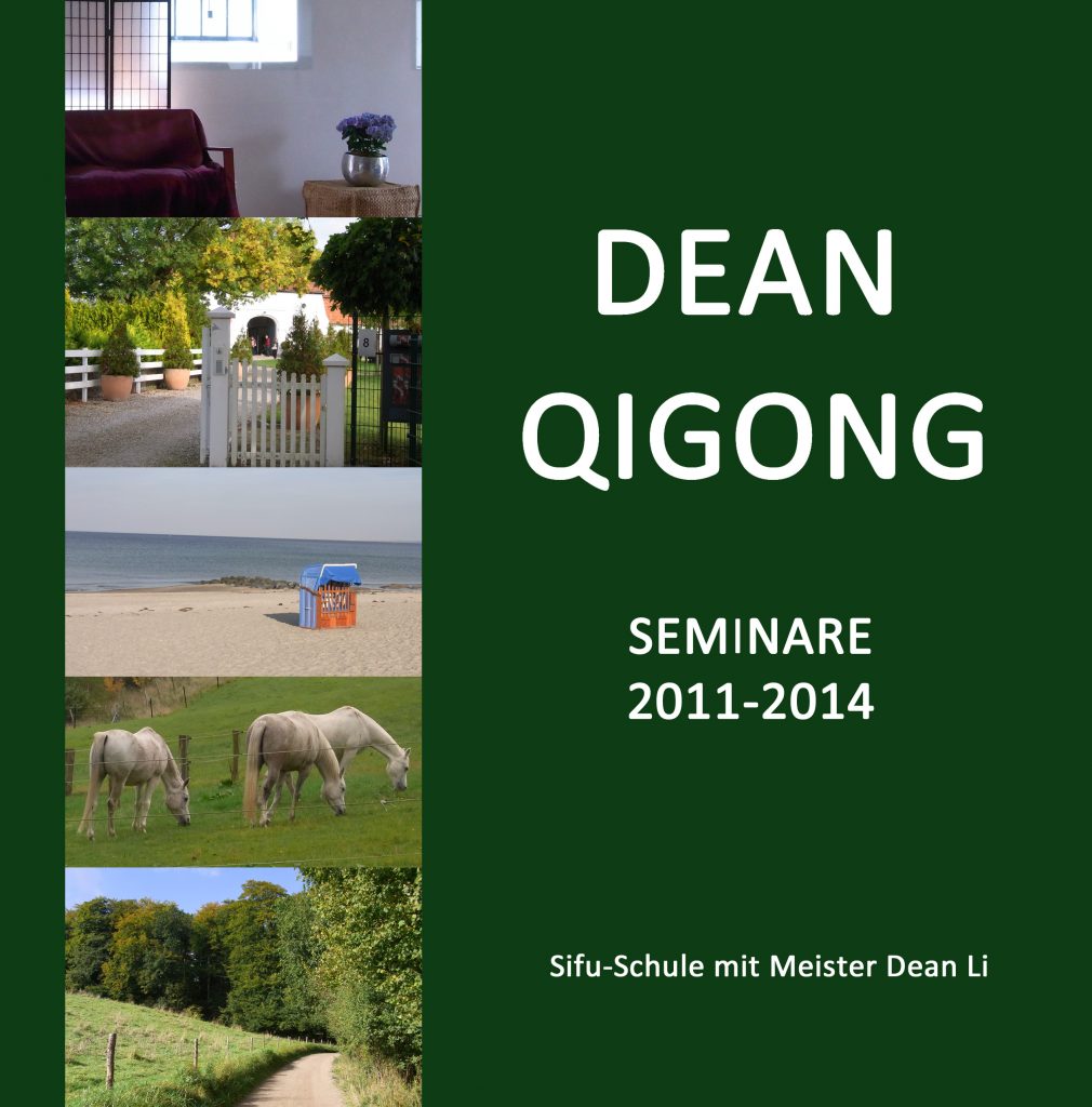7. A DEAN QIGONG Seminare 2011-2014 - Kopie - Kopie